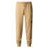 Pantalones de Montaña The North Face Nse Beige Hombre