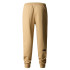 Pantalones de Montaña The North Face Nse Beige Hombre