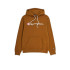 Sudadera Champion Legacy Marrón Hombre