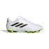 Botas de Fútbol adidas Copa Pure.4 Fxg
