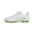 Botas de Fútbol adidas Copa Pure.4 Fxg