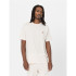 Camiseta Dickies Ss Mapleton T-Shirt Hombre