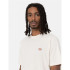 Camiseta Dickies Ss Mapleton T-Shirt Hombre