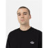 Sudadera Dickies Summerdale  Hombre