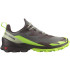 Zapatillas de Montaña Salomon Cross Over 2 Gore-Tex Grey/Green