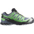 Zapatillas de Trail Salomon XA Pro 3D V9 Flint Stone Green Hombre