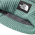 Gorro de Montaña The North Face Salty Dog Lined Green