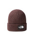 Gorro de Montaña The North Face Salty Dog Lined Brown