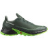 Zapatillas de Trail Salomon Alphacross 5 Darkest Spruce/Black/Green Hombre