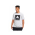 Camiseta Burton Classic Mountain High Short Sleeve Gris