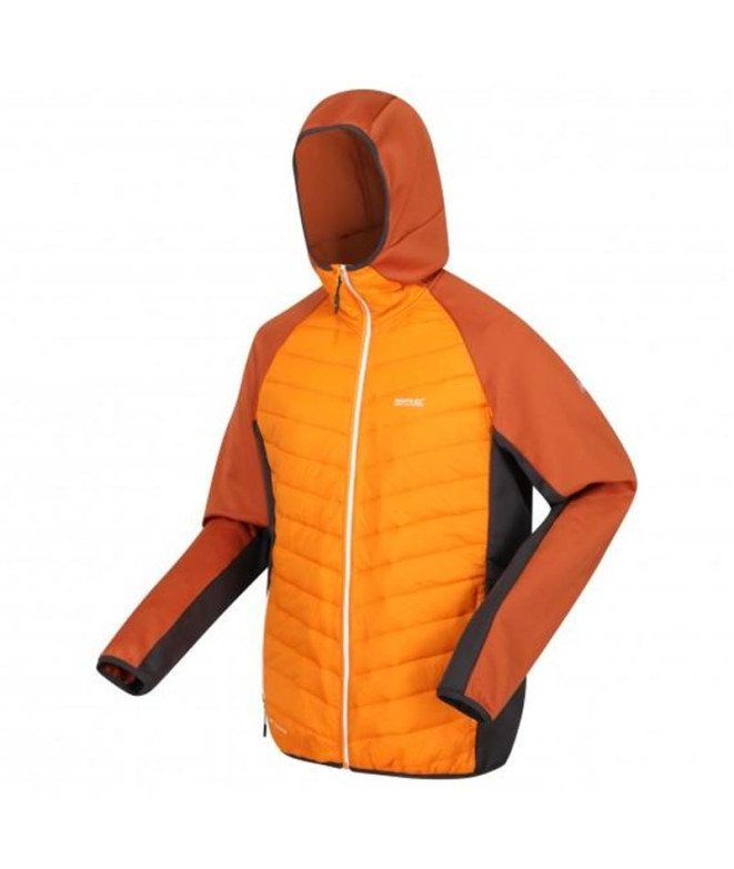 Chaqueta de Montaña Regatta Andreson VIII...