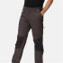 Pantalones de Montaña Regatta Questra V Ash/Black Hombre