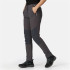 Pantalones de Montaña Regatta Questra V Seal Grey Mujer