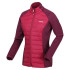 Chaqueta de Montaña Regatta Clumber Hybrid IV RumbaRd/Burg Mujer