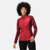 Chaqueta de Montaña Regatta Clumber Hybrid IV RumbaRd/Burg Mujer