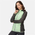 Chaqueta de Montaña Regatta Andreson VIII QuiGrn/SlGry Mujer