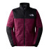 Chaqueta de Montaña The North Face Gosei Puffer Red Hombre