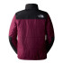 Chaqueta de Montaña The North Face Gosei Puffer Red Hombre