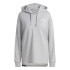 Sudadera de Montaña adidas Tx Logo Hoody Mujer