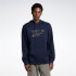 Sudadera Reebok Identity Modern Camo Oth Hombre
