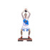 Step de Fitness Profesional Softee
