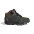 Botas de Montaña adidas Terrex Boa Mid R.Rdy Infantil