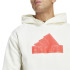 Sudadera adidas Fi Bos Hd Hombre Casbla