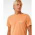 Camiseta Rip Curl Stapler Hombre Salmon