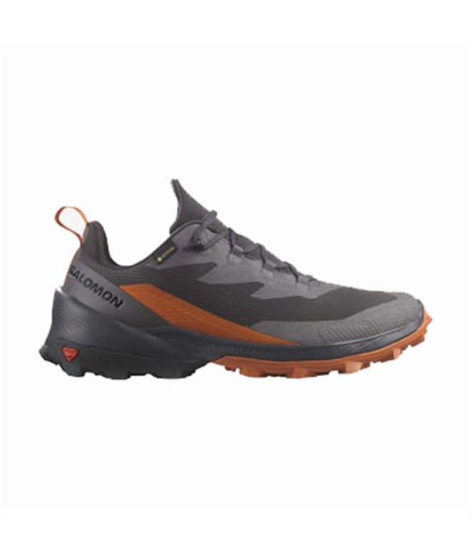 Zapatillas de Montaña Salomon Cross Over 2 Gore...