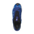 Zapatillas de Trail Salomon XA Pro 3D V9 Azul Hombre