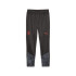 Pantalones de Fútbol Puma Ac Milan Training Hombre Gris