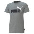 Camiseta Puma Essentials+ 2 Colour Infantil Gris