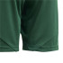Pantalones de Fútbol adidas Tiro24 Infantil Verde