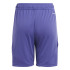 Pantalón de Fútbol adidas Tiro24 Sho Infantil Púrpura