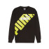 Sudadera Puma POWER Graphic Hombre Negro