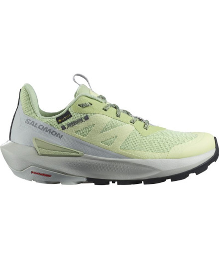 Zapatillas de Montaña Salomon Elixir Activ GORE-TEX®...
