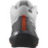 Zapatillas de Montaña Salomon Elixir Activ Mid GORE-TEX® Gris Hombre