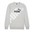 Sudadera Puma POWER Graphic C Light Gris Hombre