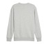 Sudadera Puma POWER Graphic C Light Gris Hombre