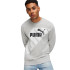 Sudadera Puma POWER Graphic C Light Gris Hombre