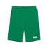 Pantalones Puma ESS+ 2 Col Archive Verde Infantil
