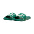 Chanclas Puma Leadcat 2.0 Verde
