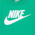 Conjunto Nike Club & Short Set Infantil Verde