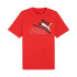 Camiseta Puma Essentials + AB Summer For All Time Hombre