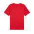 Camiseta Puma Essentials + AB Summer For All Time Hombre