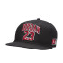 Gorra Jordan Jersey Flatbrim Infantil Negro