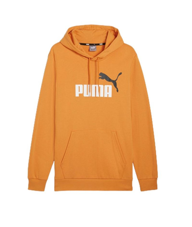 Sudadera Puma Essentials+ 2 Col Big Hombre Gris