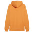 Sudadera Puma Essentials+ 2 Col Big Hombre Gris
