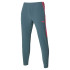 Pantalón Mizuno Charge Printed Hombre Gris