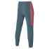 Pantalón Mizuno Charge Printed Hombre Gris
